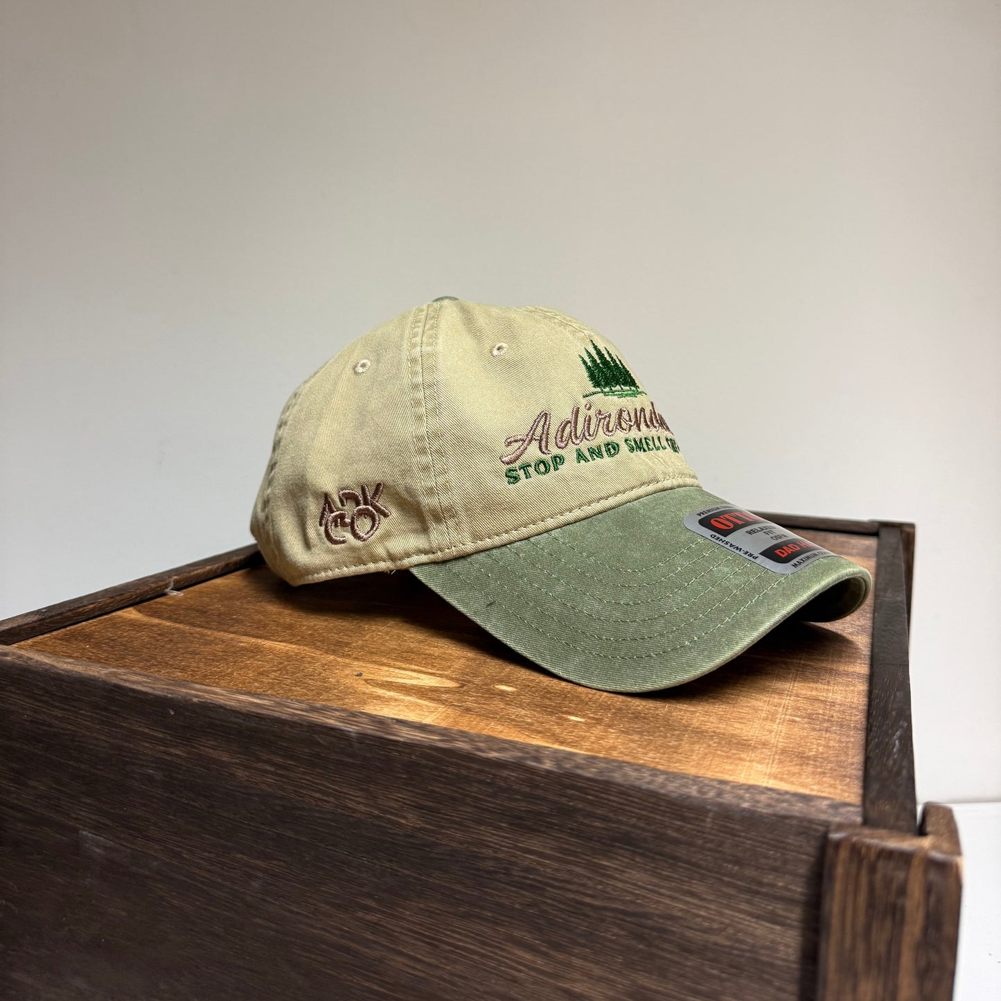 Adirondack Mountains Unstructured Low Profile Hat