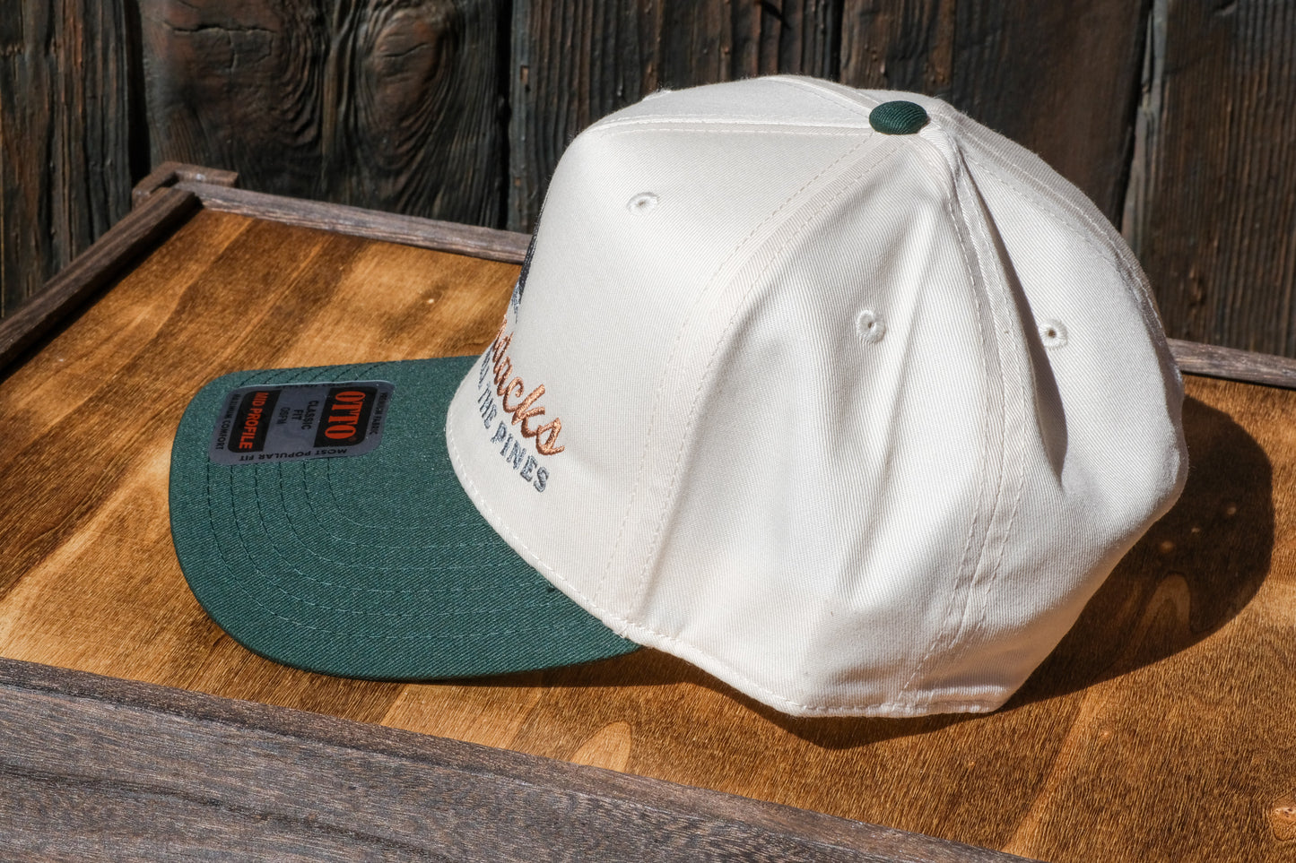 Adirondack Mountains Vintage Style Trucker Snapback Cap