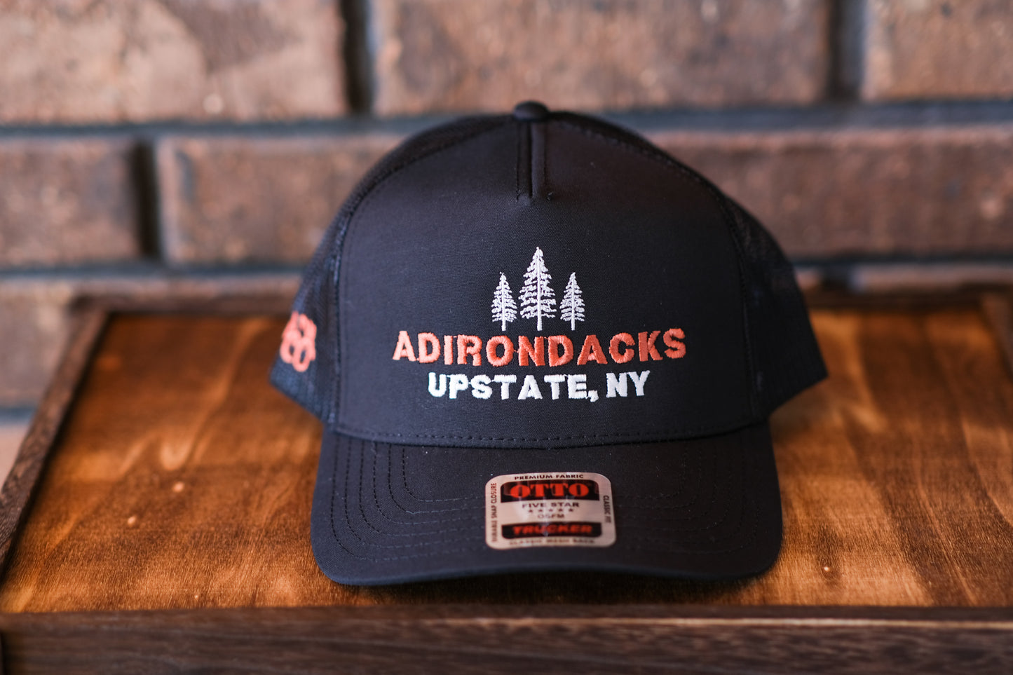 Adirondack Mountains Mesh Backing Trucker Snapback Cap
