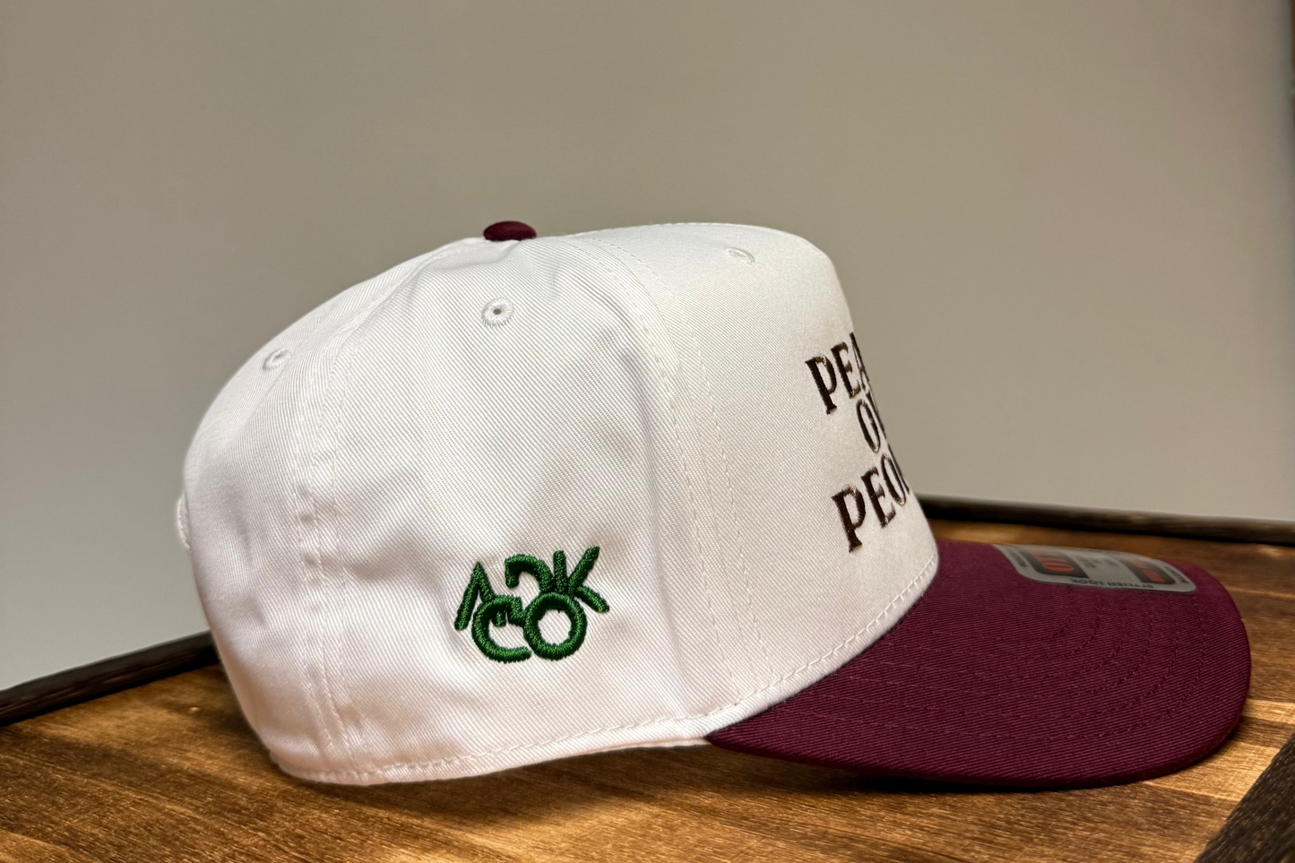 Adirondack Mountains Vintage Style Trucker Snapback Cap