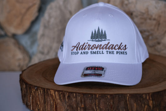 Adirondack Mountains Relaxed Unstructured Dad Hat