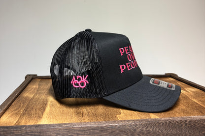 Adirondack Mountains Mesh Backing Trucker Snapback Cap