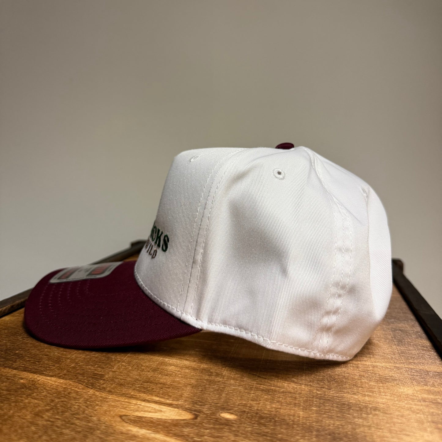 Adirondack Mountains Vintage Style Trucker Snapback Cap