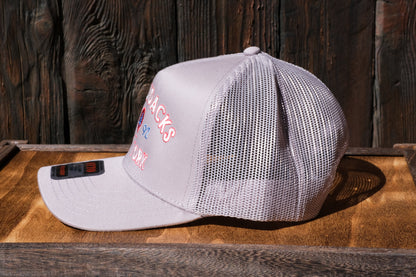 Adirondack Mountains Mesh Backing Trucker Snapback Cap