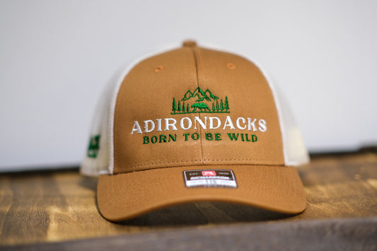 Adirondack Mountains Richardson Mesh Backing Trucker Snapback Cap