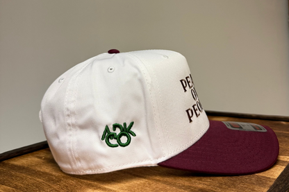 Adirondack Mountains Vintage Style Trucker Snapback Cap