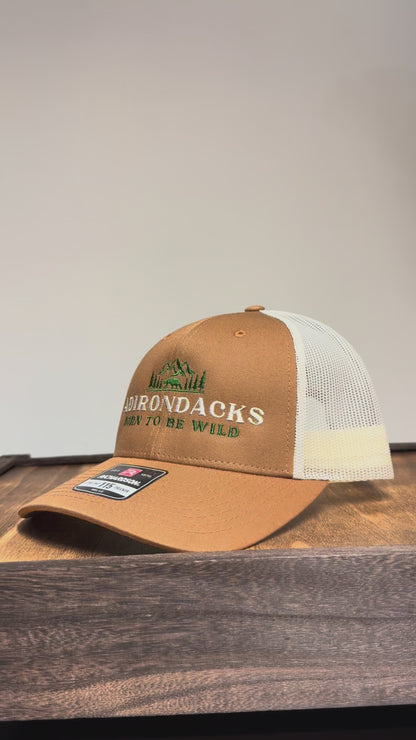 Adirondack Mountains Richardson Mesh Backing Trucker Snapback Cap