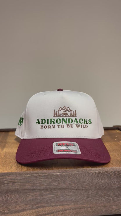 Adirondack Mountains Vintage Style Trucker Snapback Cap